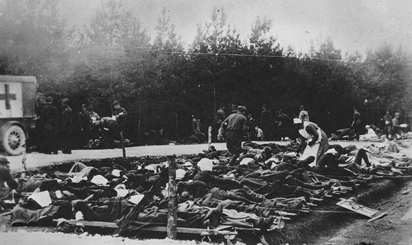 英美太鸡贼！6周时间，佣兵600万的欧洲第一陆军被德国人打跪