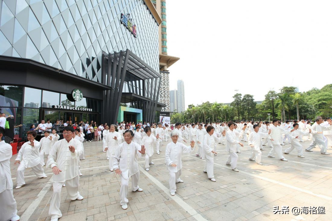 海格堡·第三届世界太极日，邀你和冠军教练一起打太极