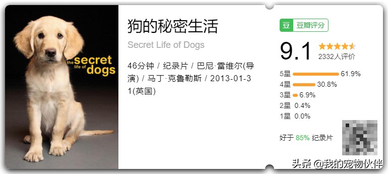 这部豆瓣9 1分的纪录片 堪称 狗狗心理学 让我们更了解狗狗 我的宠物朋友 Mdeditor