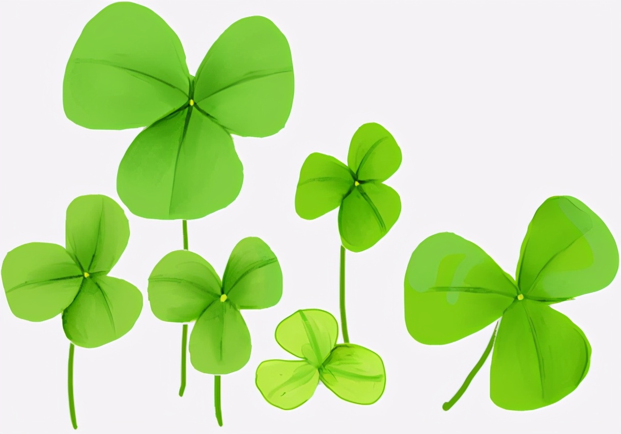 做自媒体一个月的真实经历，收入寥寥，却信心满满