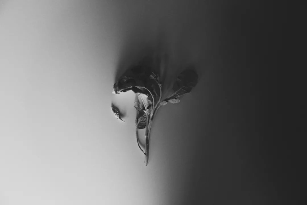 我阳光的外表下 藏着一颗求死的心