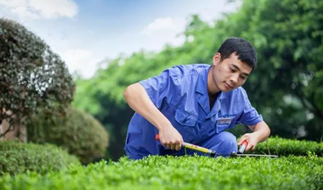 南京龙湖智慧服务｜用服务点亮生活