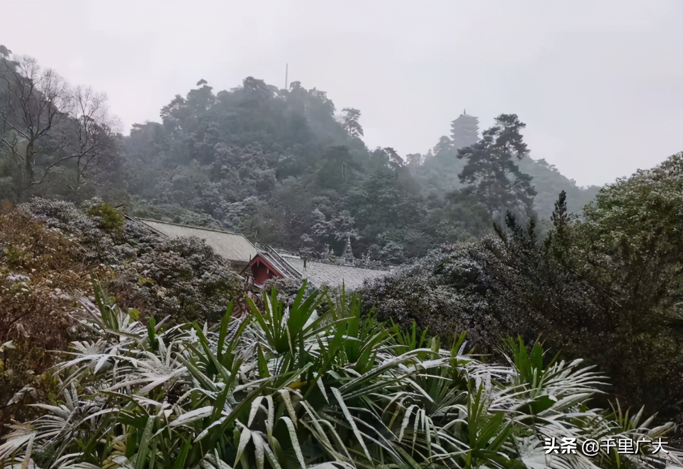 重庆人翘首以盼的“雪”来了