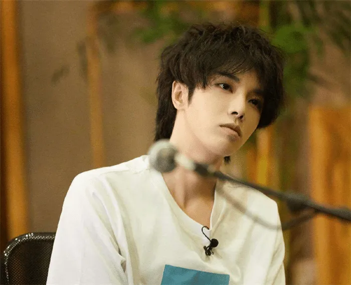 最受欢迎的男歌手排行：王俊凯仅第五，华晨宇