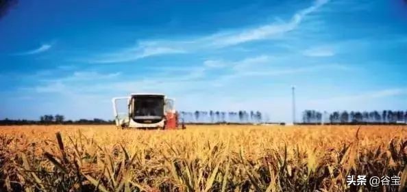 农产品疯狂进口的6大原因！中国农业面临怎样的抉择