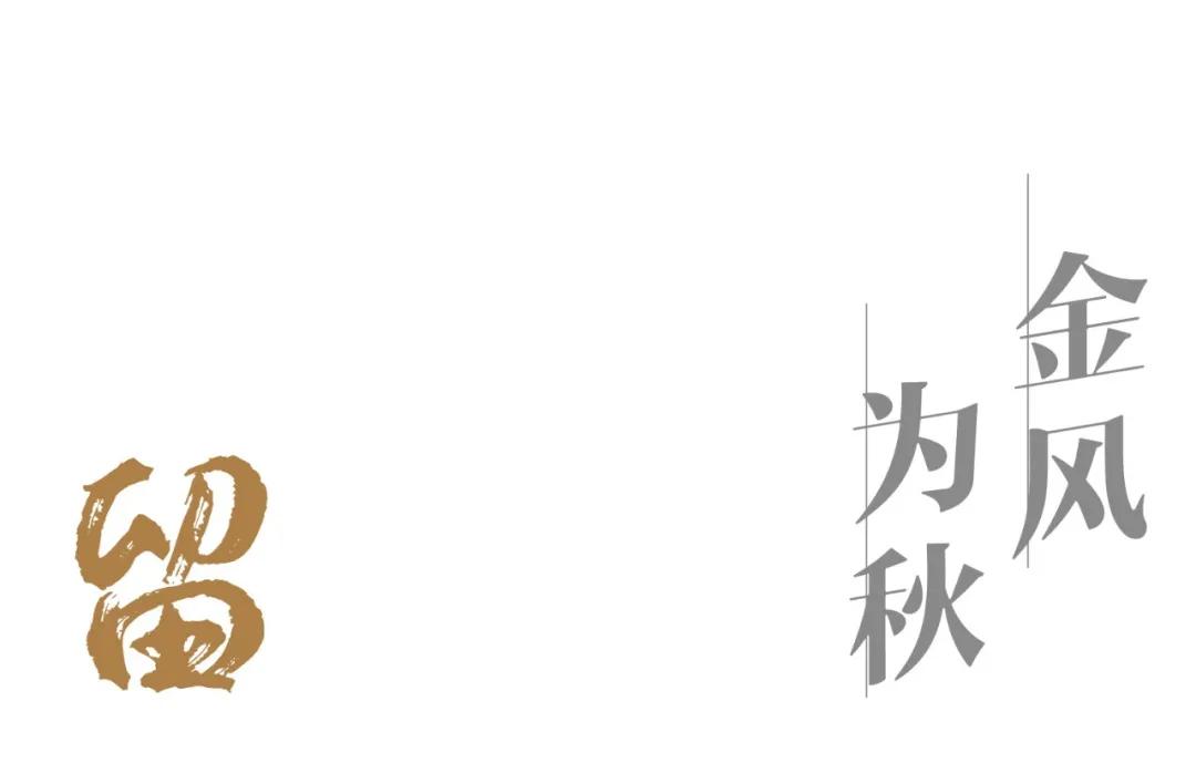 風(fēng)，拂動(dòng)四季 | 重慶保利·閱江臺(tái)