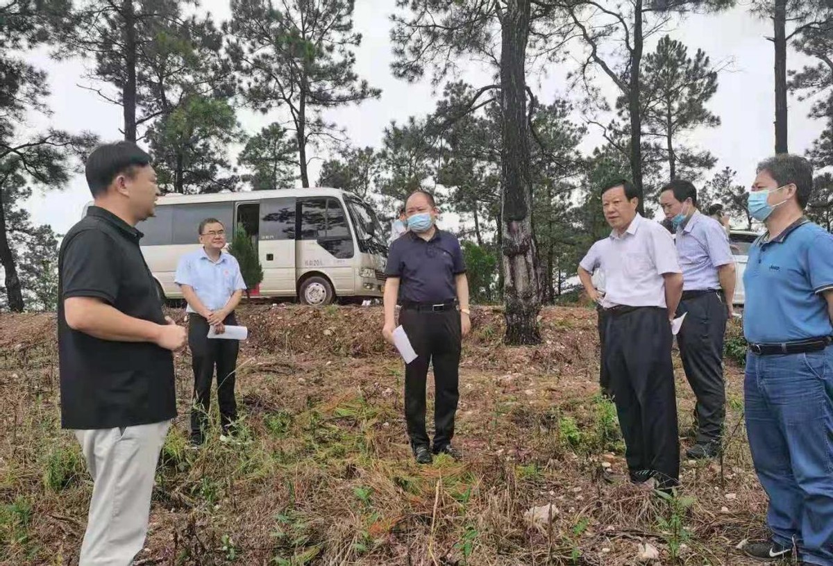 党建凯县长莅临固县镇调研指导工作