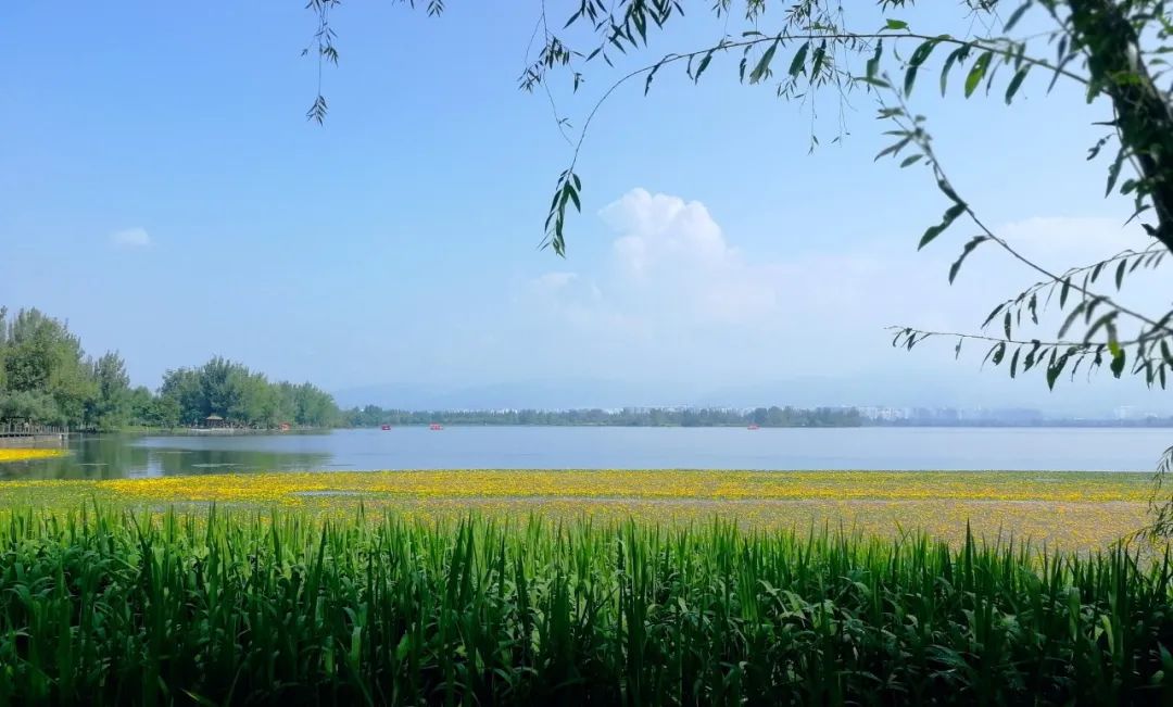 夏雨诗词，洗去人间炎热，送来一夏清凉-第5张图片-诗句网