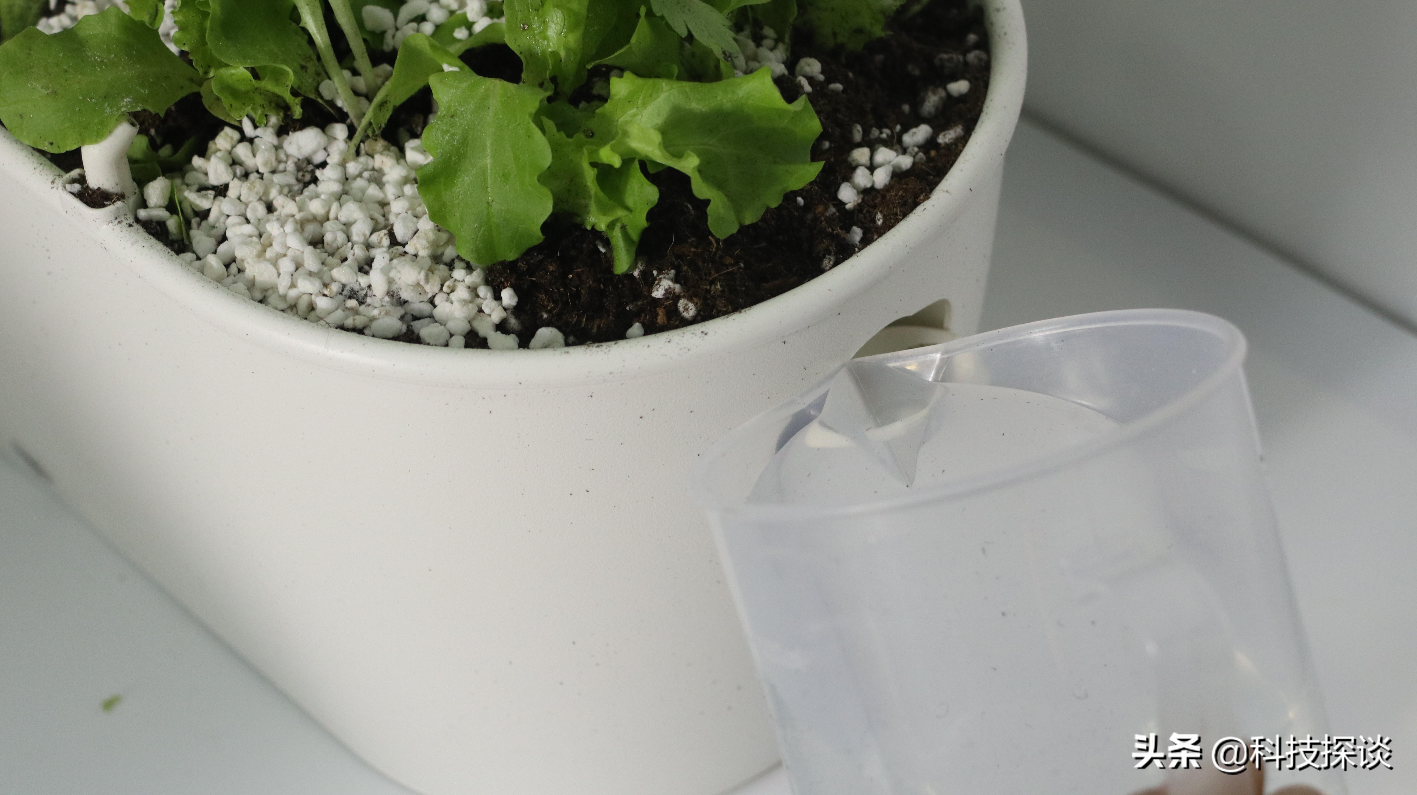 一米田智能种植伴侣体验，的确是阳台种植花卉和蔬菜的好帮手