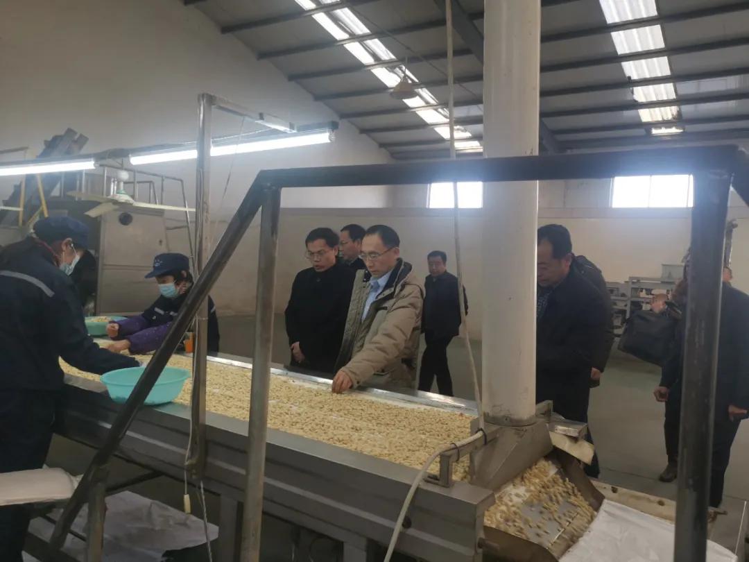 农业农村部到我市调研花生产业发展情况