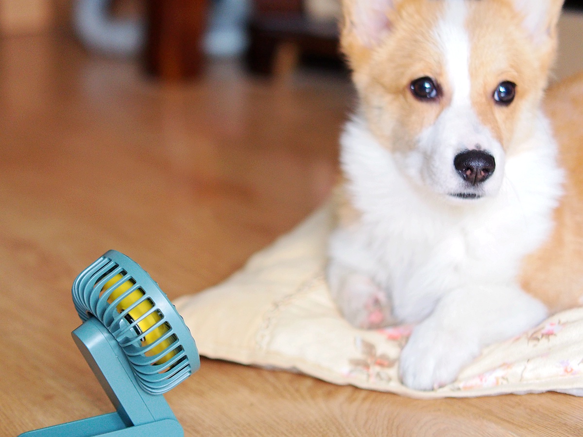 可以变形的迷你风扇ORICO便携风扇