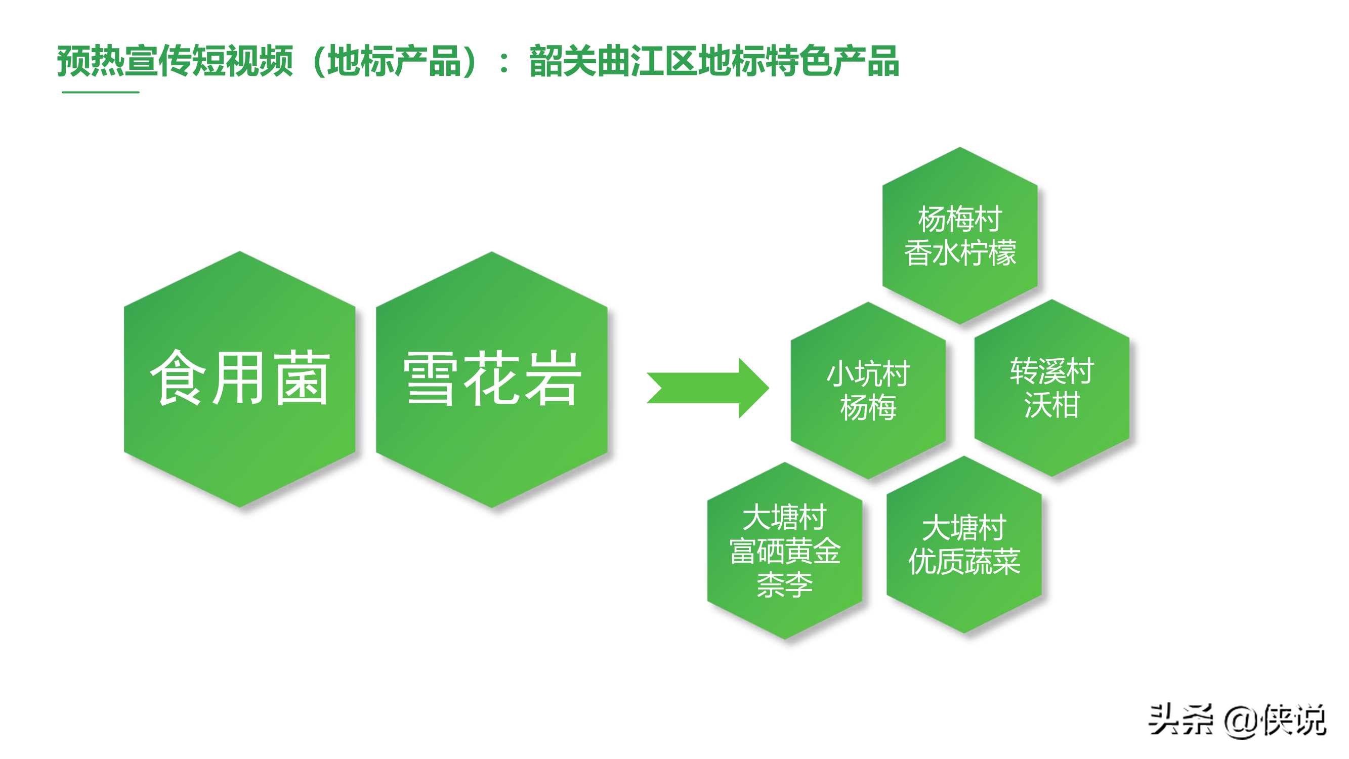 2020韶关区长代言直播活动策划方案「60P」