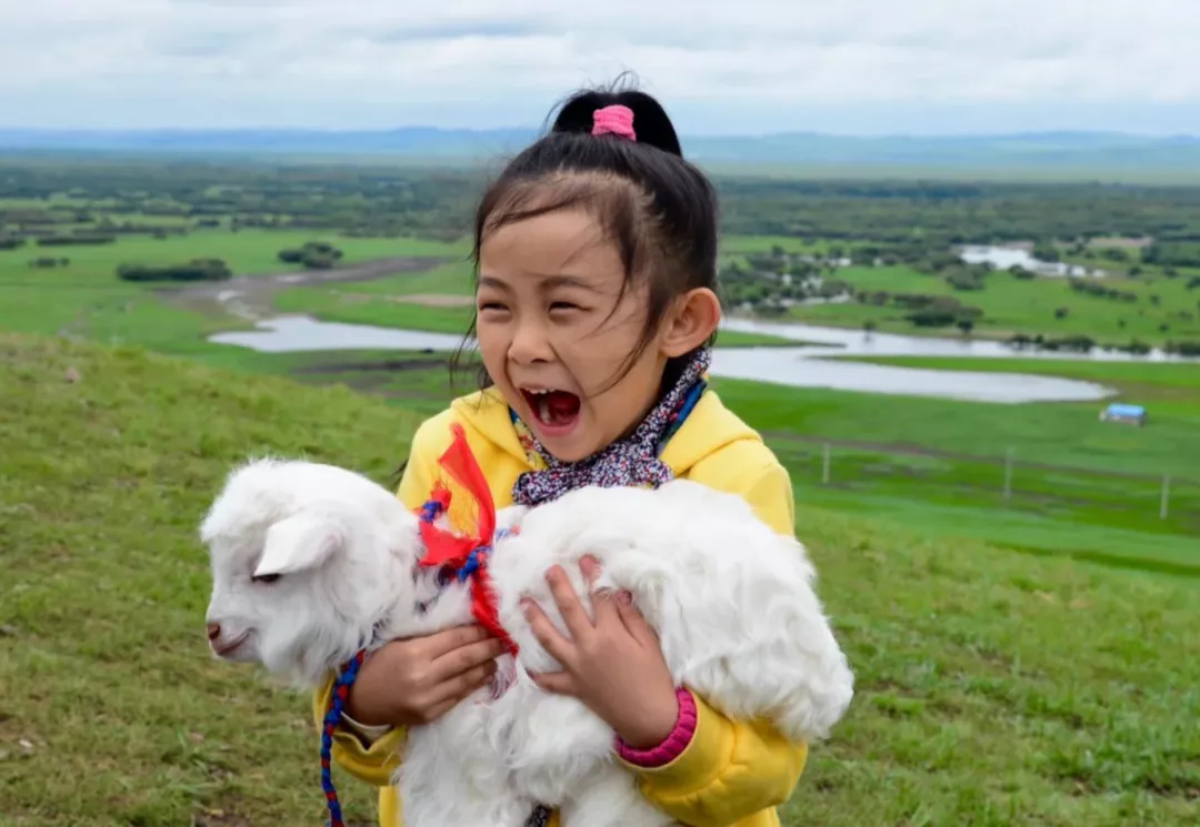Repelling the scorching summer grassland paradise, Hulunbuir travels the most beautiful route, parent-child vacation praises