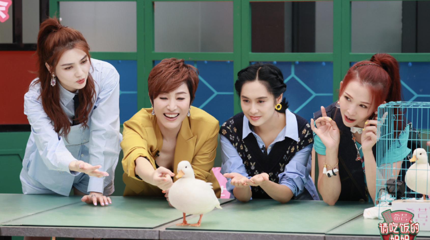 张晋因蔡少芬留有前任照片吃醋，蔡少芬果断烧毁旧照，给足安全感