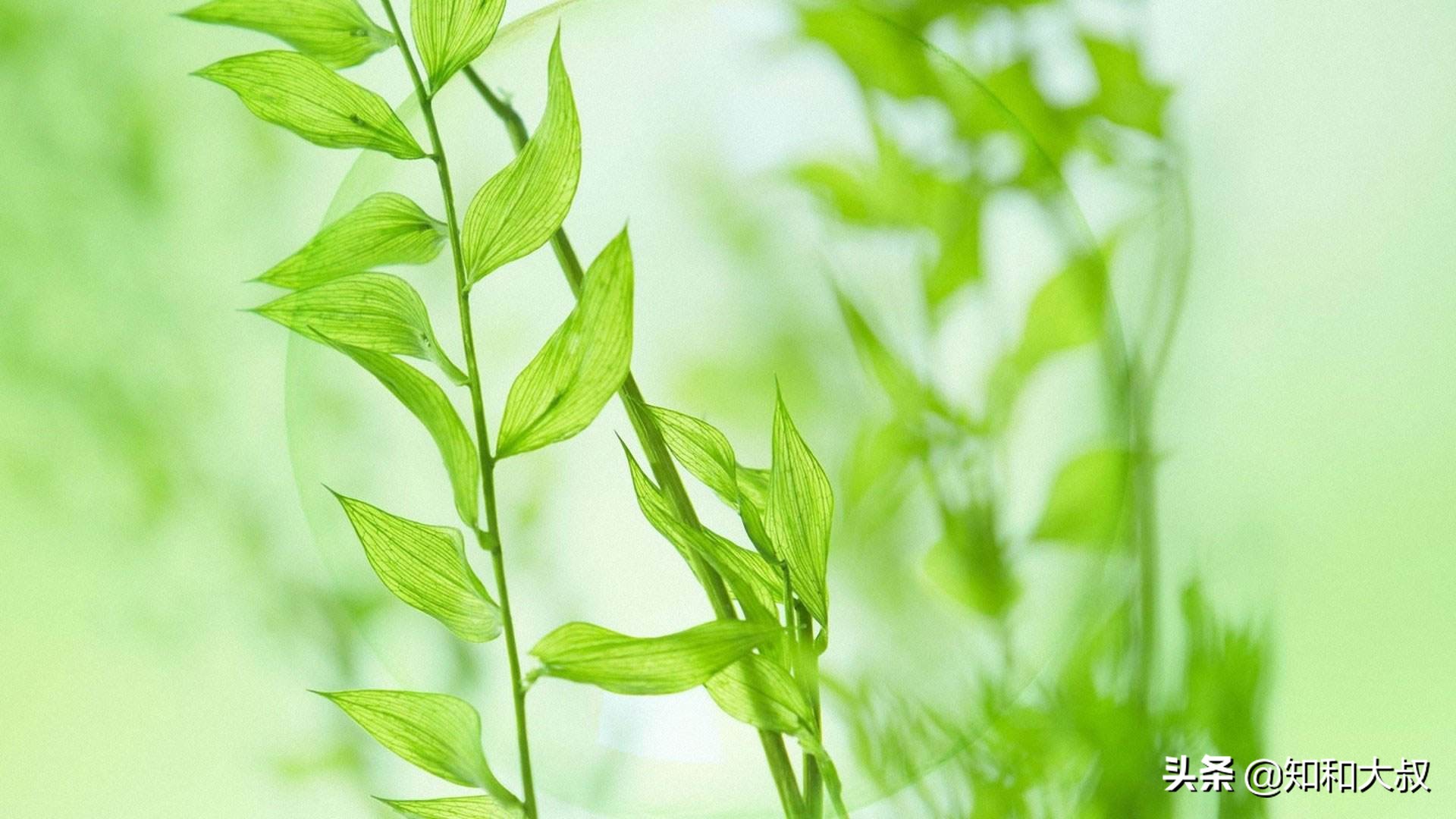 遇到以下四種人，最好保持沉默，不深交