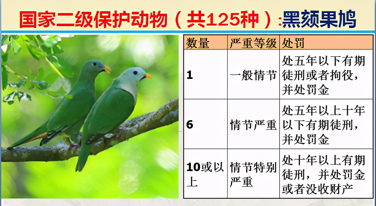 国家最新125类二级野生保护名录，图片及违法对应刑责