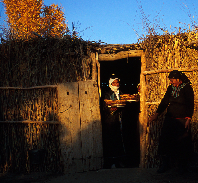 塔克拉玛干沙漠，中国最大的沙漠才不是“死亡之海”！