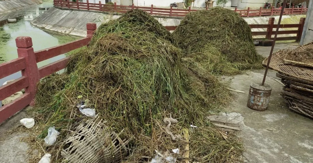 永泰镇一周工作动态及群众近期需关注事项