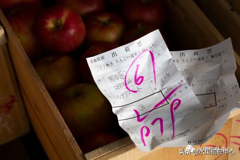 日本苹果为什么种的好？走进日本苹果第一大县“青森县”