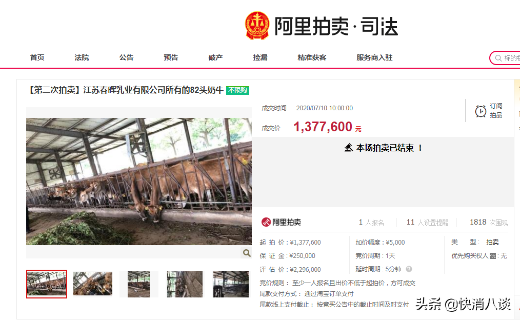 曾欲赴澳上市 春晖乳业如今“卖牛偿债”