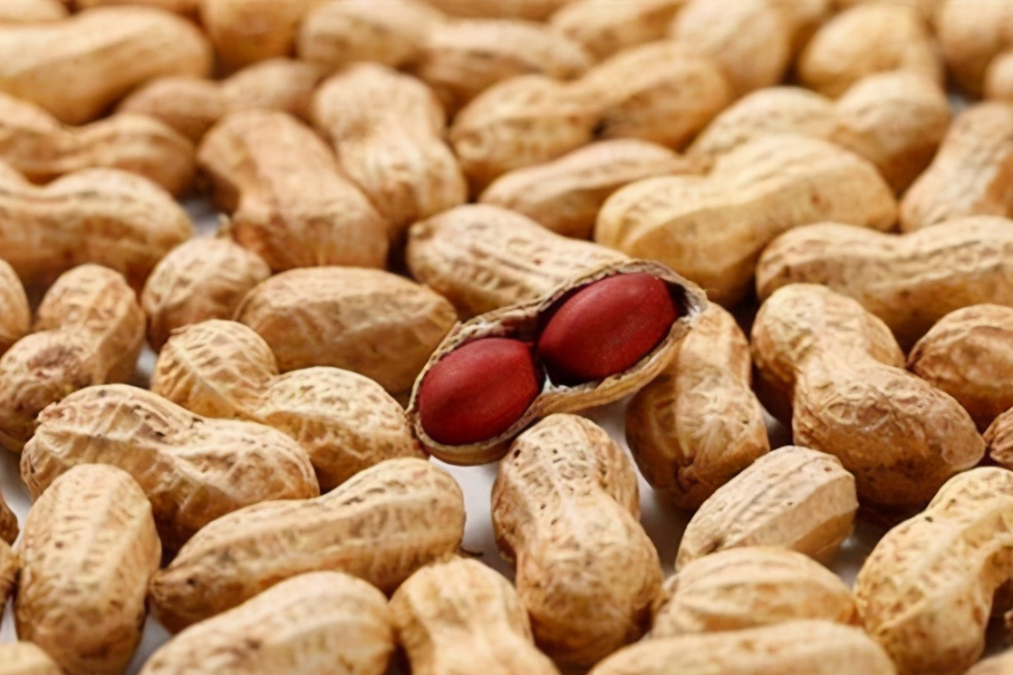 冬天或是胃病高發期，3種常見乾果可適量多吃，可能有助養護胃部