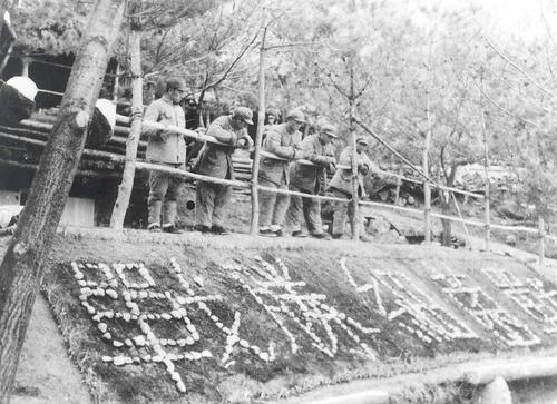 苏联曾公布一批档案，内容重塑历史，学者：难