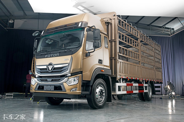 高顶双卧+600L大油箱，福田奥铃大黄蜂home版载货