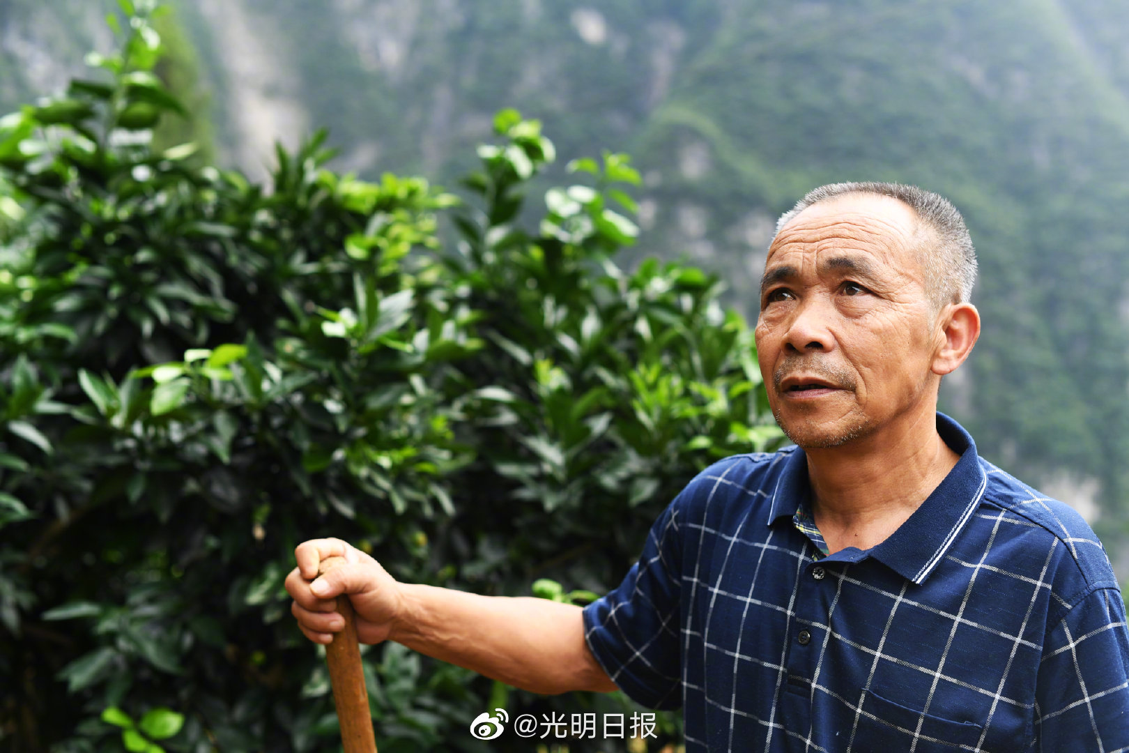 重庆一周大事件：点赞时代楷模毛相林，李雪芮回乡创业，气温骤降