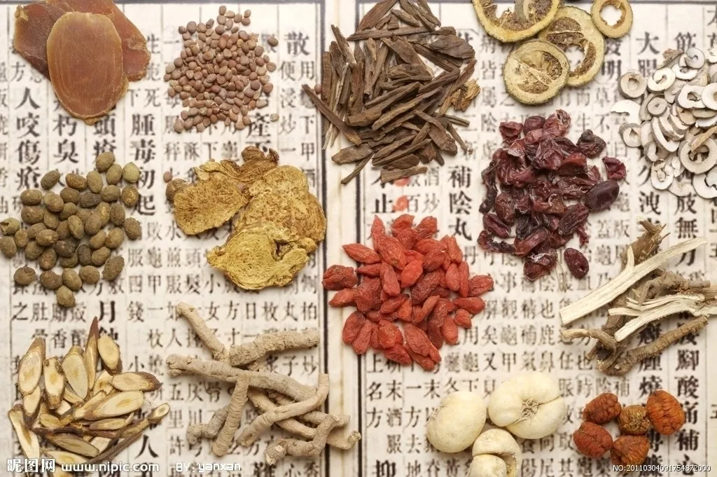 中医的“胃肠动力药”有哪些?