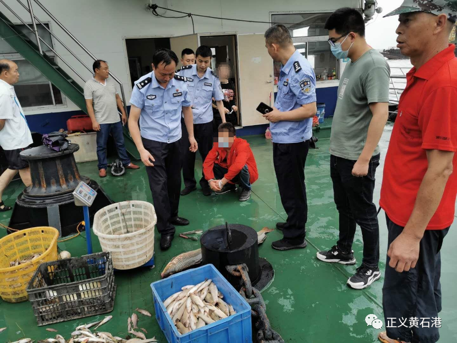 公益诉讼 | 维护长江生态多样性，联合办案再显