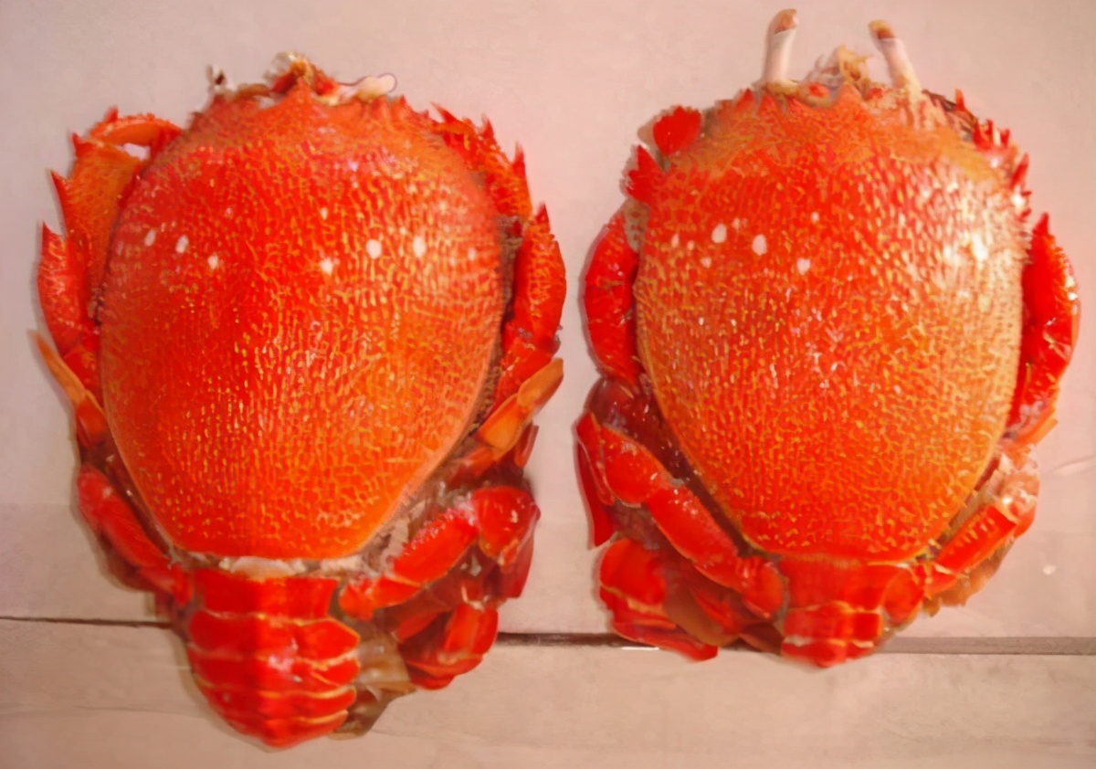 蟹类图集_淡水两栖_西南渔业网 水花鱼 水产养殖专业