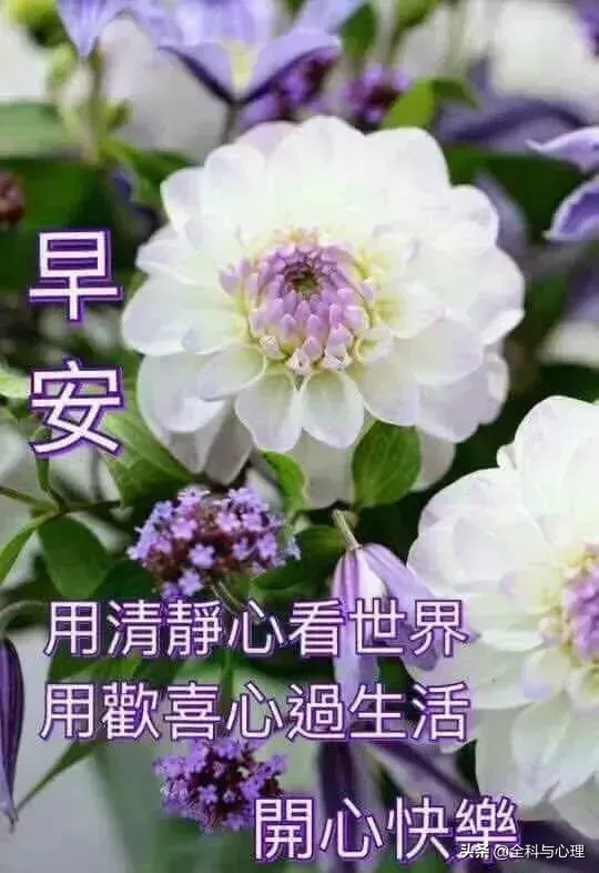 特别精美的清晨早安问候动态表情图片,早上好祝福语温馨句子