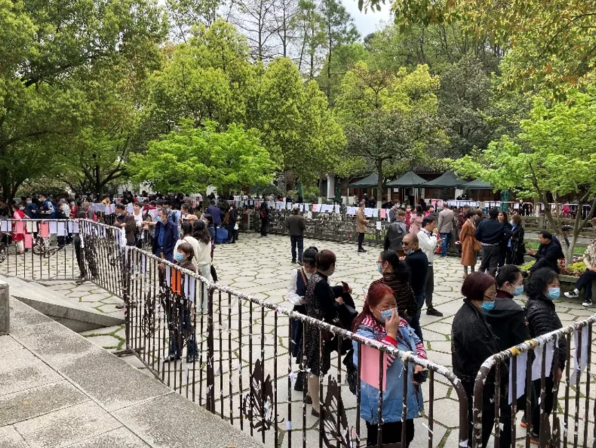 去萧山做赘婿,已经比考研上岸还难了