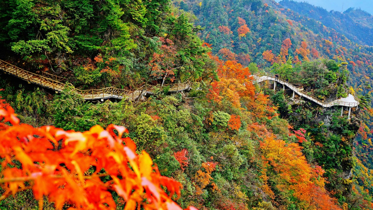 达州宣汉县旅游推荐会在重庆举行《梦回巴国》即将首演