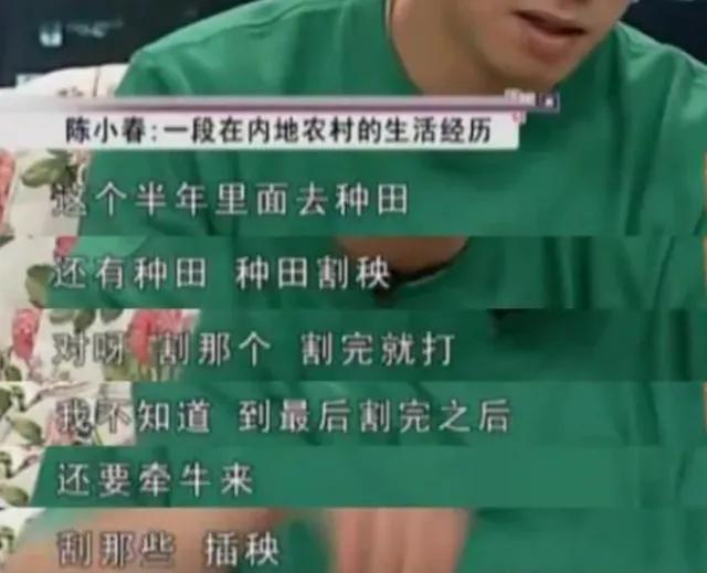 赢过莫文蔚，干掉“独家记忆”张柏芝，应采儿