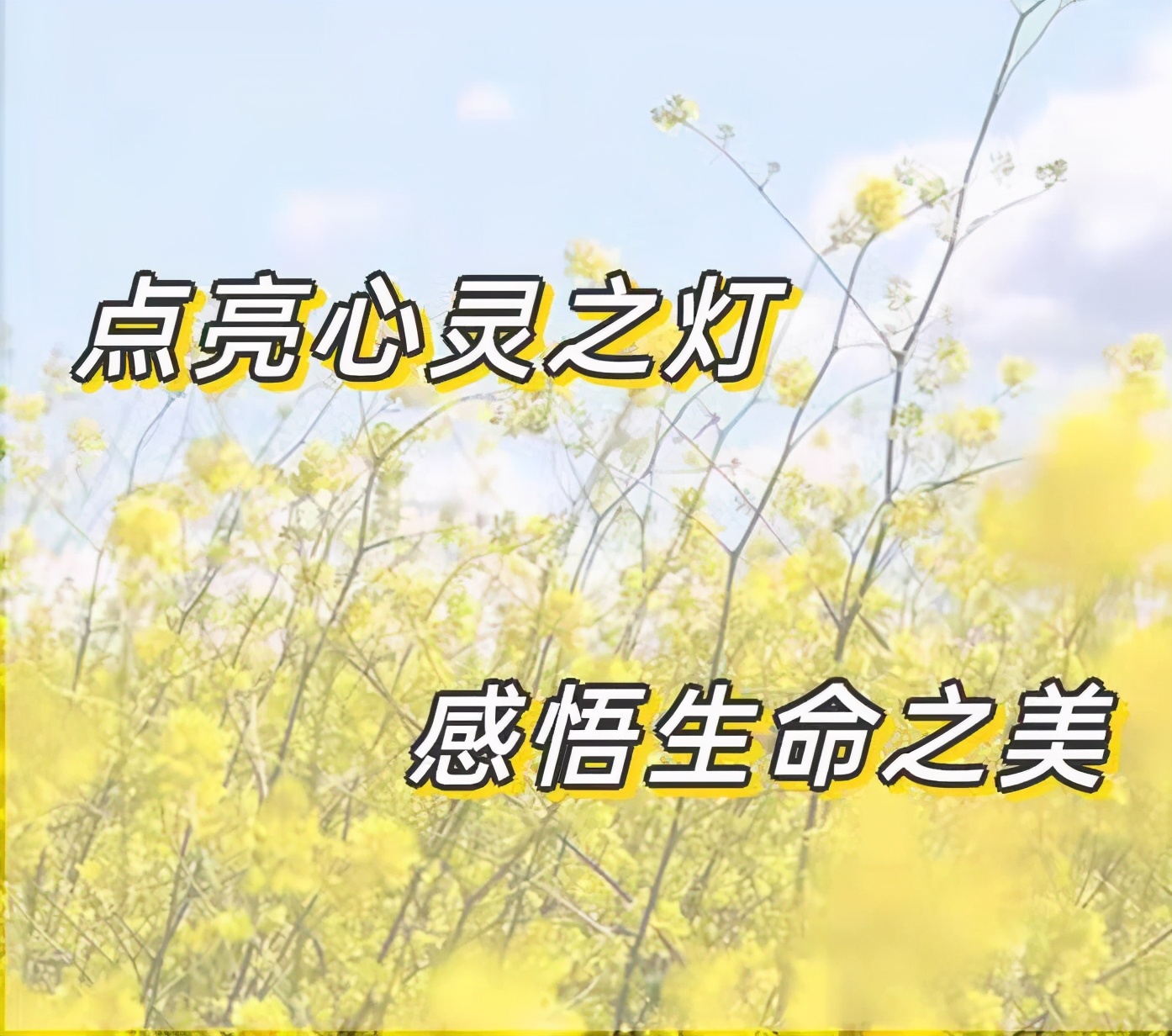 �����е�ʮ��СѧУ��ʦ����ר����ѵ