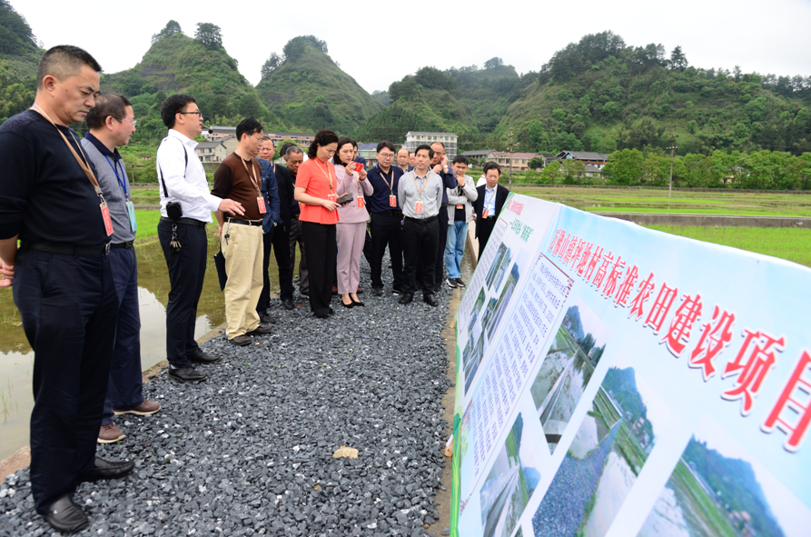通道侗族自治县人大常委会组织省、市、县人大代表开展集中视察活动
