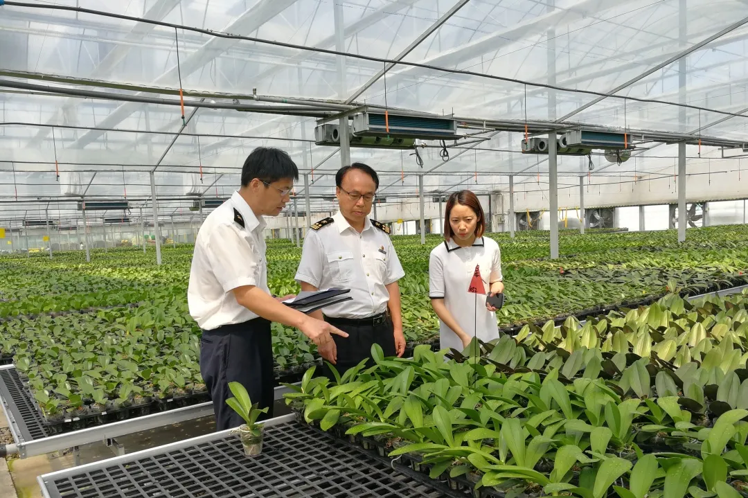 「动植物检疫」种苗出口小课堂