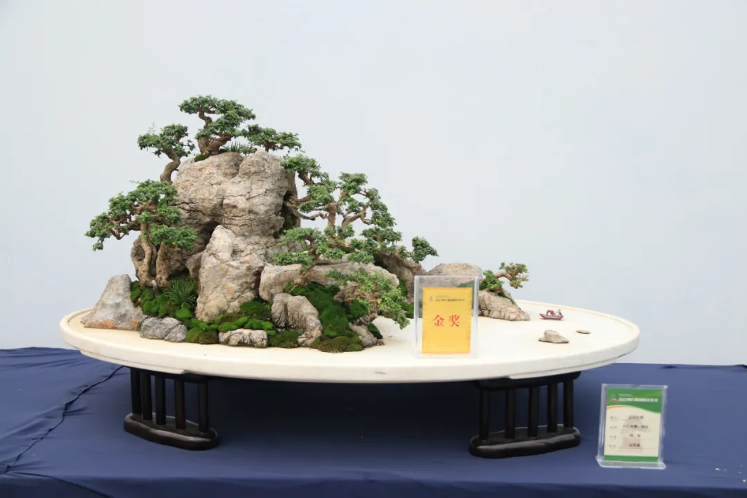 第九届沭阳花木节“精品盆景展”金奖作品来啦