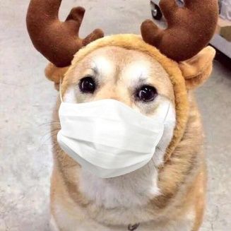 2020 Valentine's Days, during segregation how are we had sweet " is epidemic disease ground loved " ? 