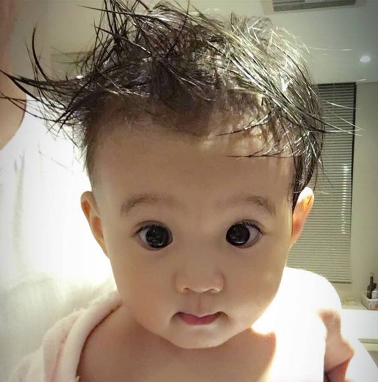 賈靜雯一家眼睛大，陸毅一家腿長，沙溢一家最接地氣，深受喜愛