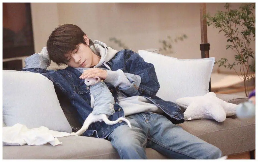 任嘉伦、张若昀已婚，郑业成、徐正溪少综艺，