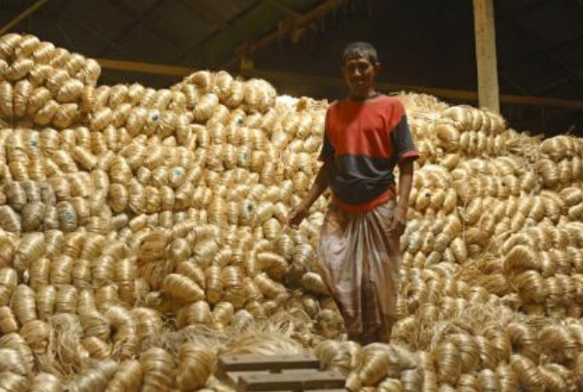 比印度还脏乱差，人口超1.6亿的孟加拉，为何如