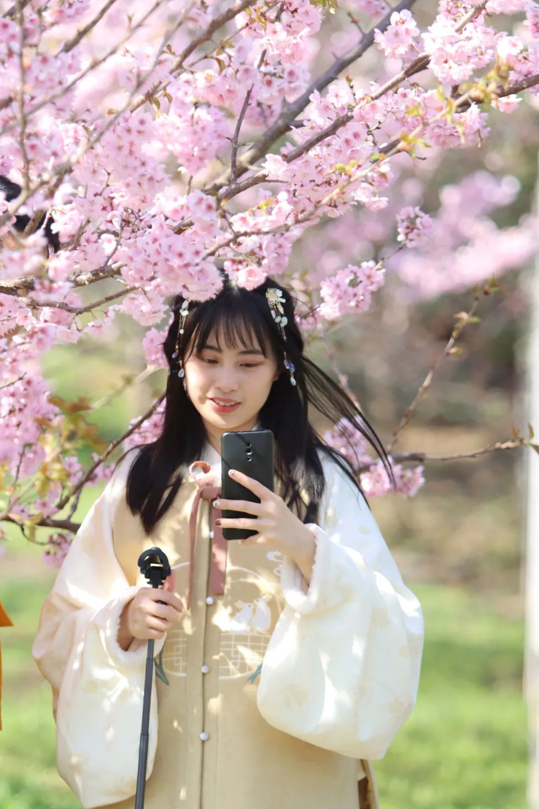 持续刷屏！今天的武汉太美了，每一张都可当壁纸