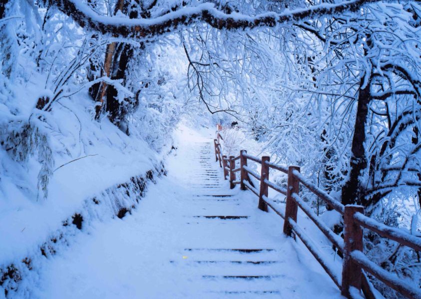 唐诗里的冬天，意境悠远，回味无穷-第23张图片-诗句网