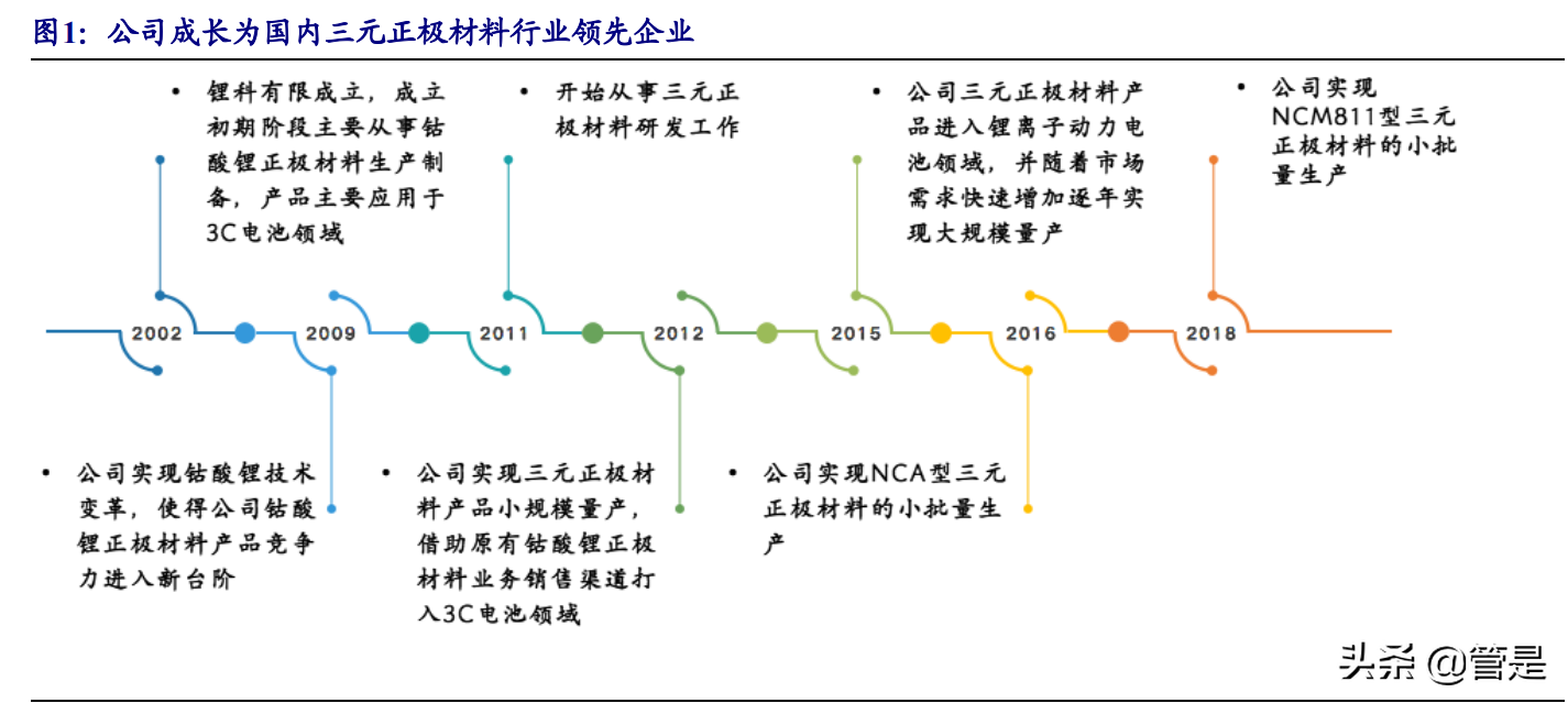 长远锂科专题报告：高端三元正极龙头，与产业链巨头共成长