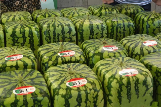 日本网民显摆一日三餐，调侃中国学生吃不起，