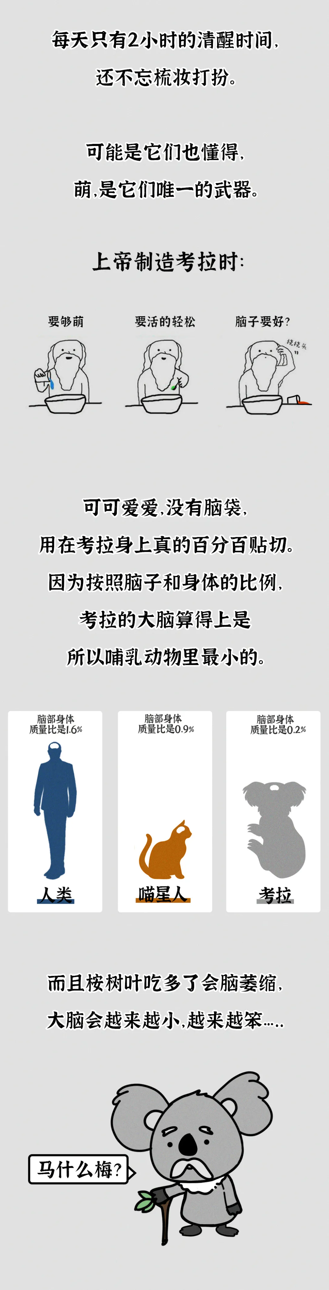 吃屎長大，一生嗑“毒”，這么萌的動物卻這么慘？