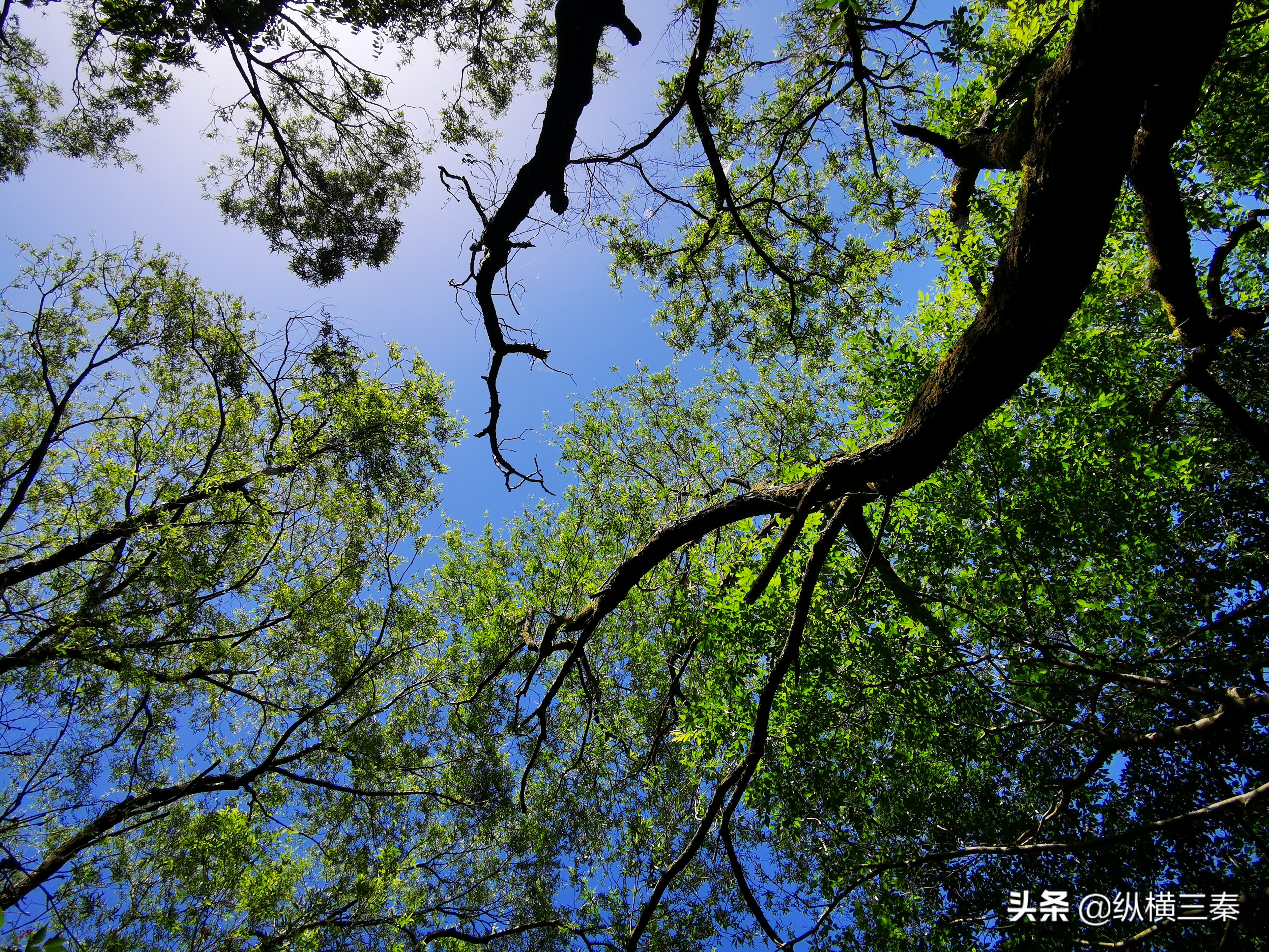 秦岭以一己之力，挡住沙尘暴南下