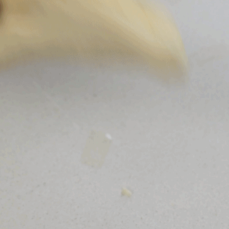 3两面粉做了9个老婆饼，正宗配方做法不难，皮脆馅香全家都爱